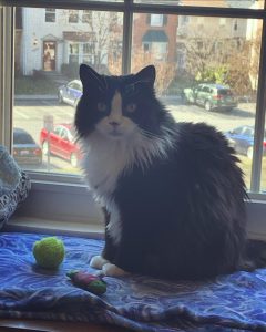 This is a photograph of Oreo Biscuit Miner, who died on Tuesday, March 31, 2026. 